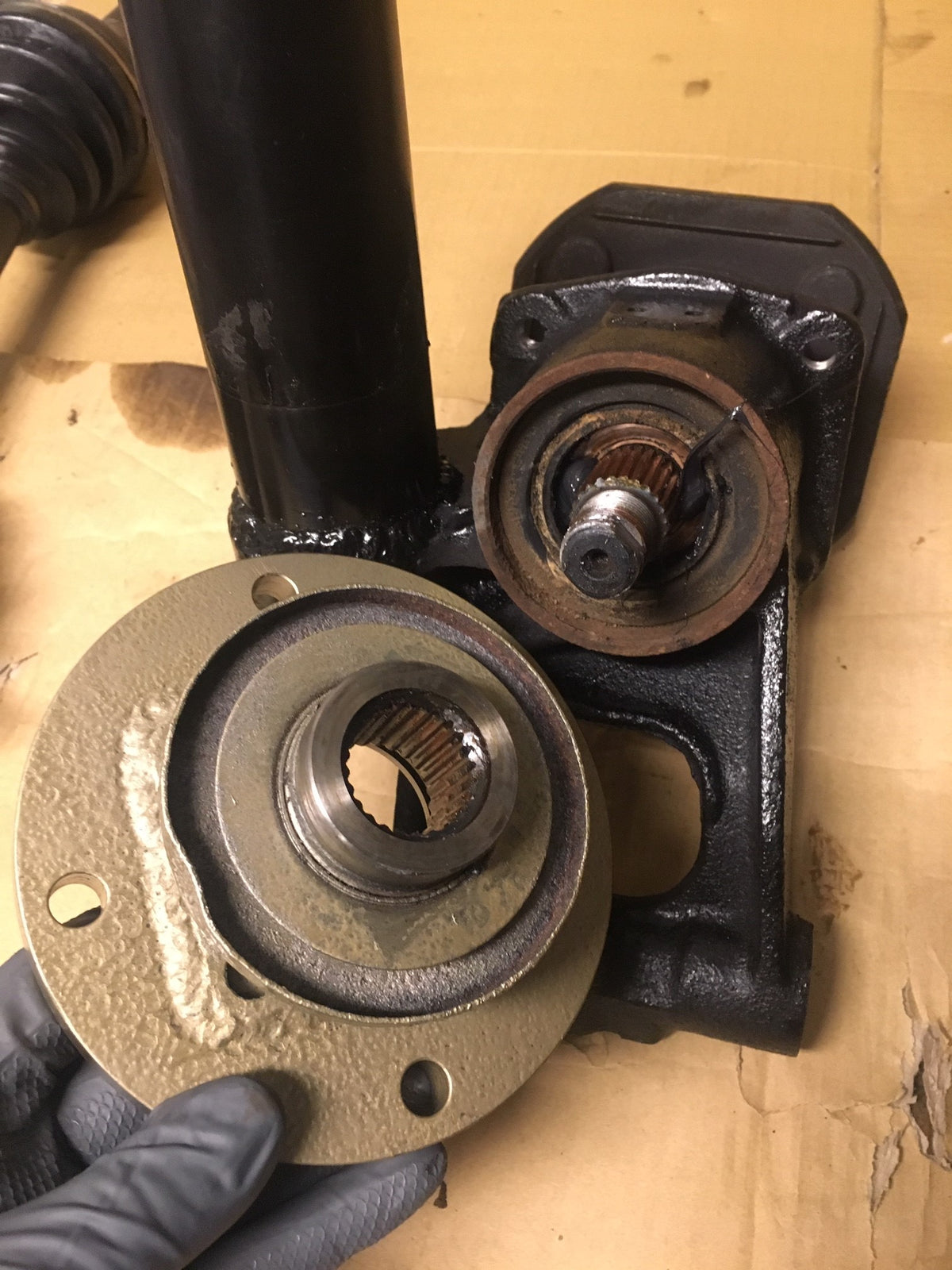 img_5148_1200x.jpg?v=1675448167